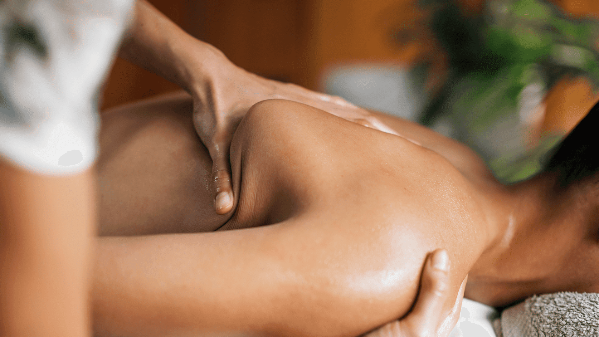 All About Ayurvedic Medicine